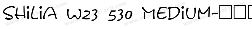 Shilia W23 530 Medium字体转换